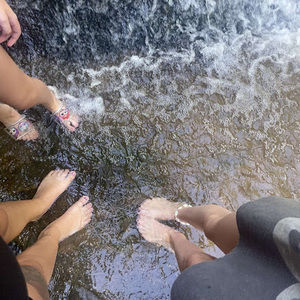 Meet your Posher, Precious